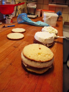 IMG_2840_finalcakelayer