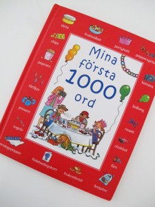 IMG_5820_1000wordscover