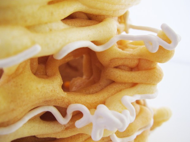 IMG_2614_delicateicing