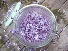 IMG_4256_lilacsinjar3