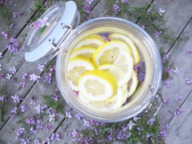 IMG_4288_lilacsandlemonsjar2