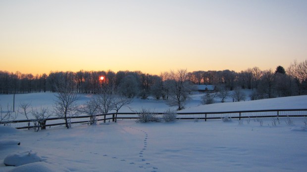 The sunset was gorgeous. Those are rabbit tracks in the snow.