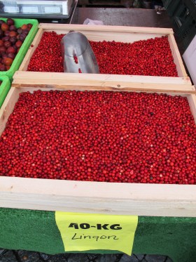 IMG_5837_lingonberrybin